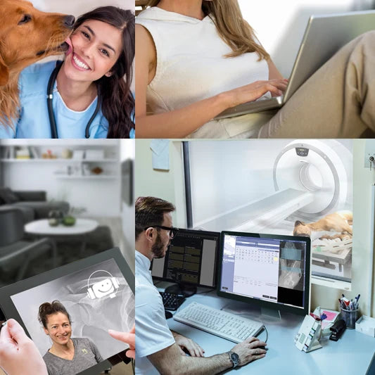 Tierarzt Weiterbildung mit ATF Stunden