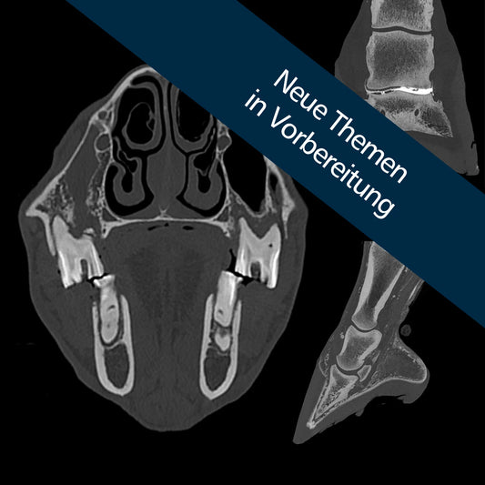 Neues Seminar für CT-Fachkunde Pferdearzt in Vorbereitung