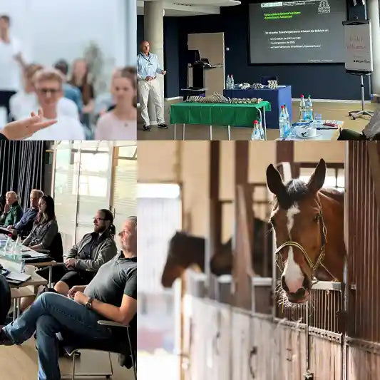 CT Fachkunde für Pferdeärzte in Mecklenburg Vorpommern